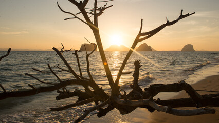 Thailand, Beach, Sun,  Sea, Islands
