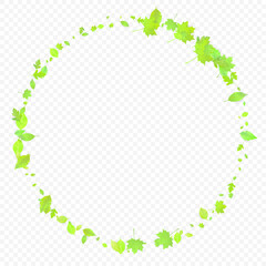 Leaves Falling Spring Flying Foliage Green Leaf