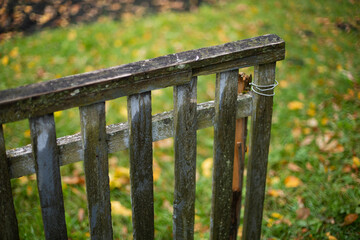 rustic wooden old fence in autumn.