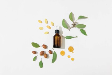Glass bottle with dropper and Argan fruits on white - obrazy, fototapety, plakaty