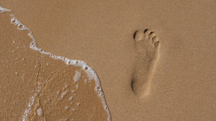 footprint in the sand of the beach
