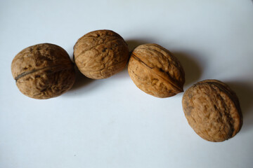 Group of four ripe brown rounded wrinkly fruits of Persian walnut