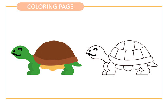 Coloring page of turtle. educational tracing coloring worksheet for kids. Hand drawn outline illustration.