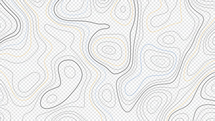 Topographic map lines background. Vector illustration. Abstract pattern with lines isolated on transparent background