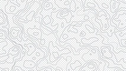 Transparent topographic map background concept with space for your copy.
