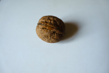 Close view of one brown rounded wrinkly fruit of Persian walnut