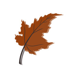 Obraz premium Leaf Icon