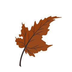 Leaf Icon