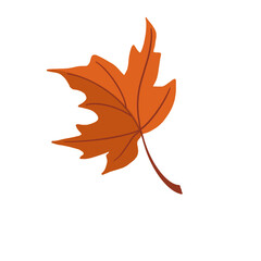 Leaf Icon