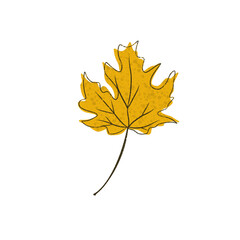 Leaf Icon