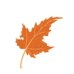 Leaf Icon