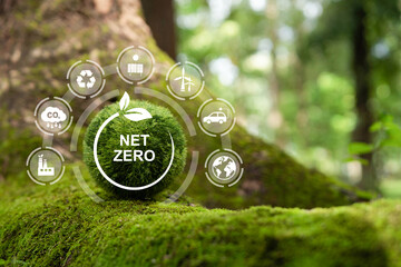 Net zero and carbon neutral concept. Net zero greenhouse gas emissions target. Climate neutral long term strategy on a green background. - obrazy, fototapety, plakaty