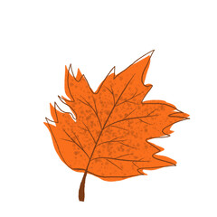 Leaf Icon