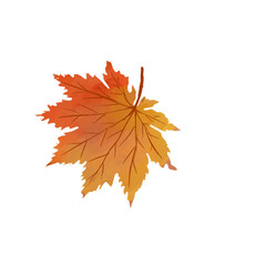 Fototapeta premium Leaf Icon