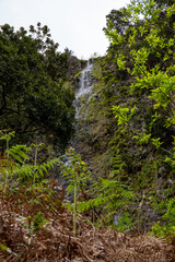 The Levada do Moinho to Levada Nova waterfall hike	