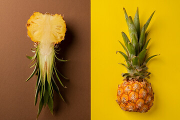 Baby pineapple cut into two halves
bright background.