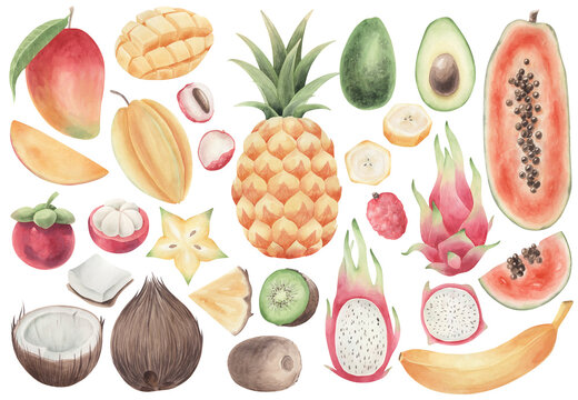 Watercolor tropical fruits set isolated. 