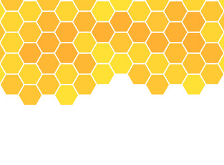 Yellow honeycomb border background.