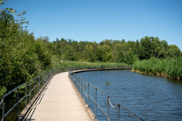 boardwalk with railings on a lake