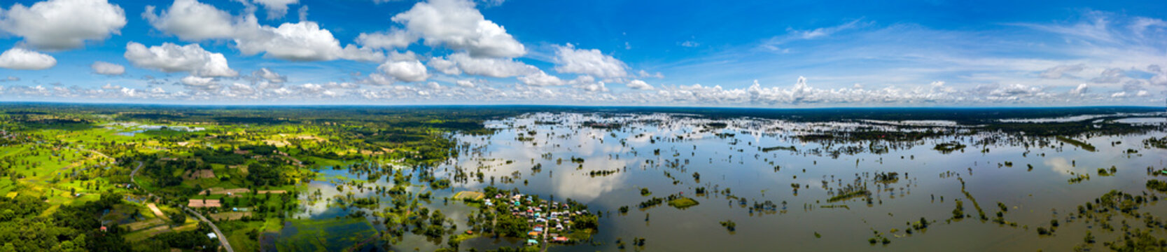 Panorama Top view Aerial photo from flying drone.Flooded rice paddies.Flooding the fields with water in which rice sown by natural calamity. View from above rice fields and green forest,Thailand,Asia.
