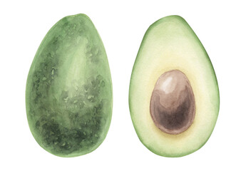 Watercolor avocado isolated.