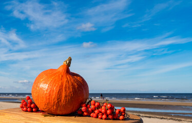 Autumnal subject image with close up of ripe pumpkin and bunch of rowan berry on wooden plate with...