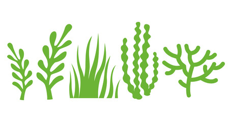 Tropical tree branches illustration isolated on png Transparent background