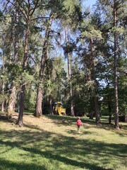 Countryside and villages in Val di Non valley in Italy during summer