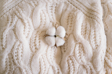 Background with warm sweaters. Pile of knitted clothes with dried flower cotton, warm background, knitwear, space for text, Autumn winter concept. Copy Space.