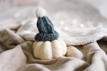 White decorative pumpkin in a decorative knitted hat. Warm background, knitwear, space for text, Autumn winter concept. Copy Space.