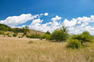 Dry grass on Devin hills in Palava, in hot summer day under white clouds and blue sky. Czech Republic.