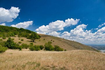 Dry grass on Devin hills in Palava, in hot summer day under white clouds and blue sky. Czech Republic.