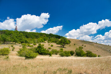 Dry grass on Devin hills in Palava, in hot summer day under white clouds and blue sky. Czech Republic.