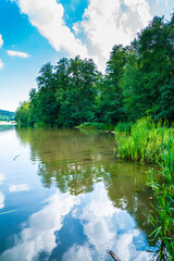 Germany, Ebnisee lake water in natural nature landscape of green trees,  forest near welzheim and kaisersbach in summer on sunny day