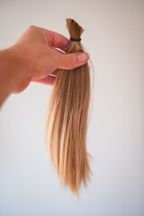 Hair donation. Girl's hand holding long cut off natural blond ponytail hair tied together.