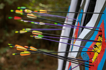Target with arrows close-up