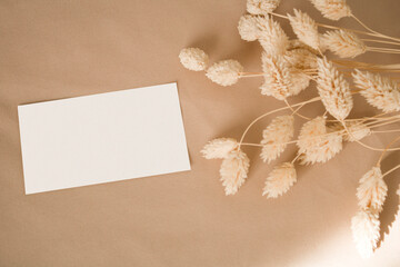 Blank paper sheet cards mockup with soft shadows and dry grass
