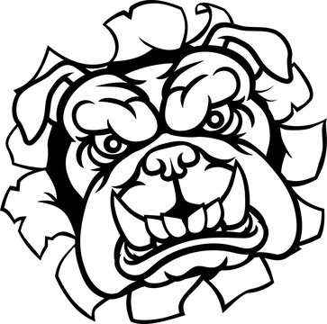 Bulldog Sports Mascot
