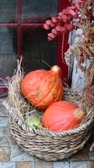 Pumpkins in a wicker basket at the cafe door as a Halloween decoration