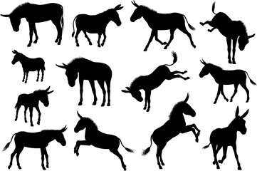 Donkey Animal Silhouettes Set