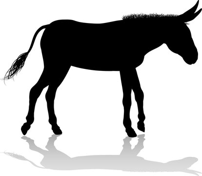 Donkey Animal Silhouette