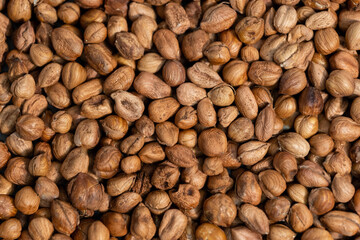 background of already peeled hazelnuts top view