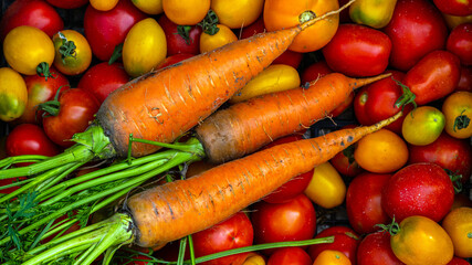 tomatoes, carrots on the table.Carrots, tomatoes just picked in the garden on wooden boards. carrots & tomatoes.