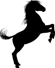Horse Animal Silhouette © Christos Georghiou