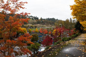 Obraz premium Sidewalk in rainy autumn day in urban area