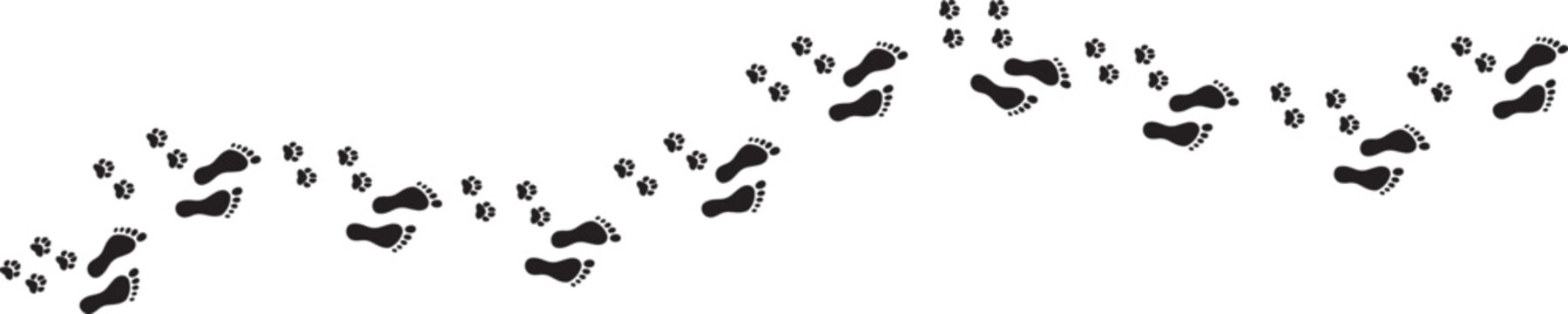Paw print trail on white background. Vector cat or dog and man, pawprint walk line path pattern background