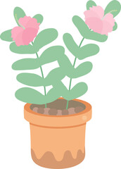 cute tiny flower in pot