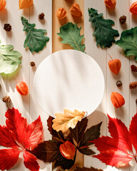 A round paper frame is above yellow, red, green fallen leaves and physalis flowers on a white wooden background. Autumn, fall, thanksgiving day concept. Flat lay. Top view. Copy space.