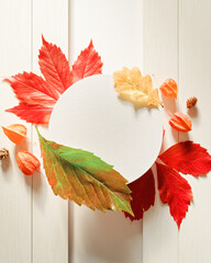 A round paper frame is above yellow, red, green fallen leaves and physalis flowers on a white wooden background. Autumn, fall, thanksgiving day concept. Flat lay. Top view. Copy space.