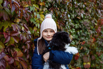 Child with a puppy. Little girl with a Shih Tzu puppy in her arms in the autumn park